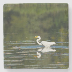 Egret Fish Feast Stone Coaster