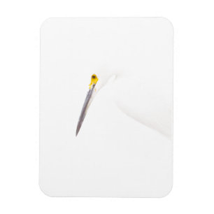 Egret headshot magnet