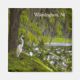 Egret in Wilmington, NC Magnet