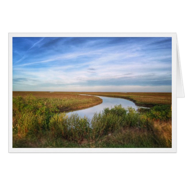 Egret Island, Matagorda, TX (Front Horizontal)