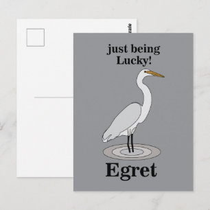 Egret Lucky Bird Postcard