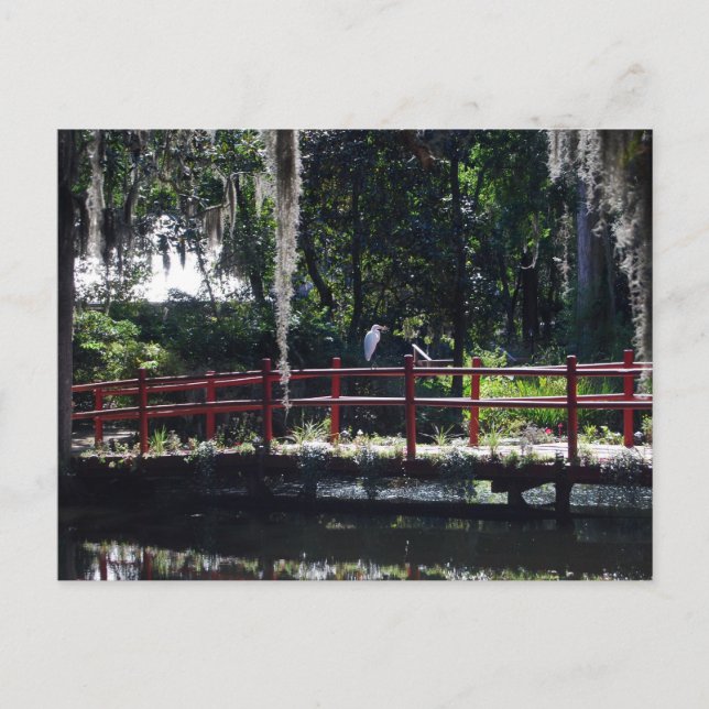 Egret on Red Bridge Postcard (Front)