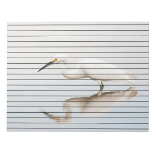 Egret on still pond notepad