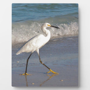 Egret on the Beach Plaque
