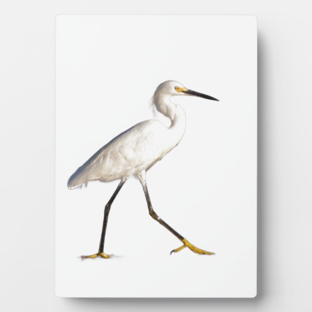 Egret on the Beach Plaque (Front)