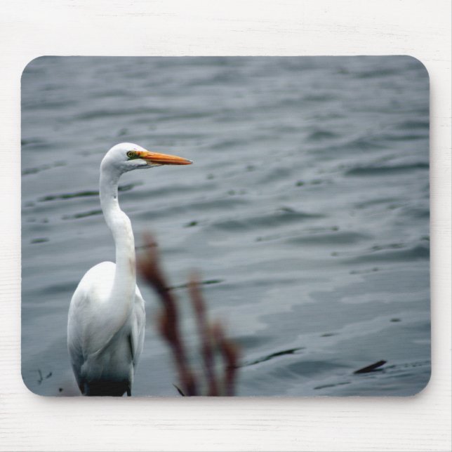 Egret (white heron) standing at waters edge mouse mat (Front)