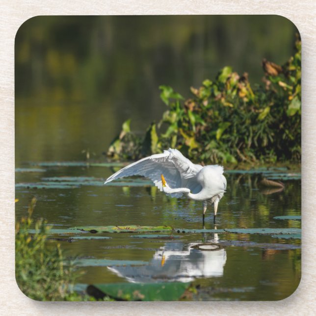 Egret Wing Exam Coaster (Front)
