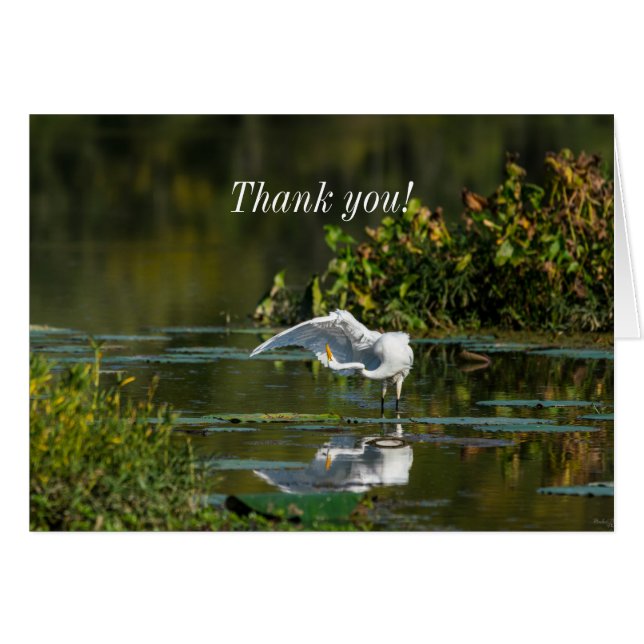 Egret Wing Exam Thank You Card (Front Horizontal)