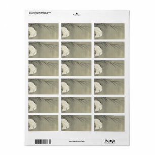 Egrets in Swamp by Ohara Koson Label