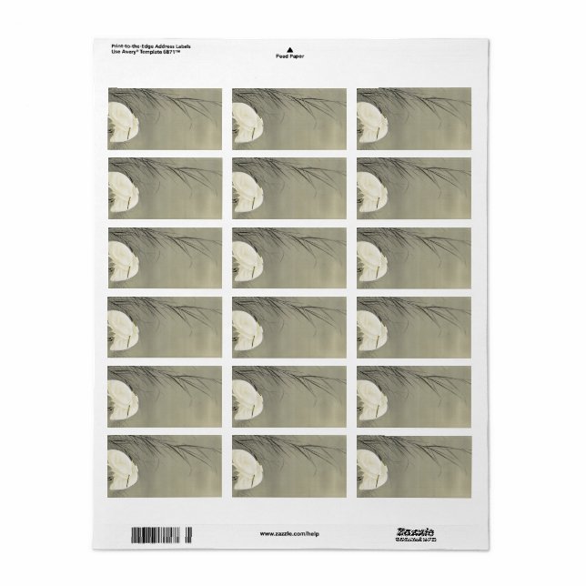 Egrets in Swamp by Ohara Koson Label (Full Sheet)