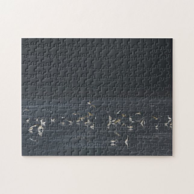 Egrets On The Midnight Blue Ocean Jigsaw Puzzle (Horizontal)