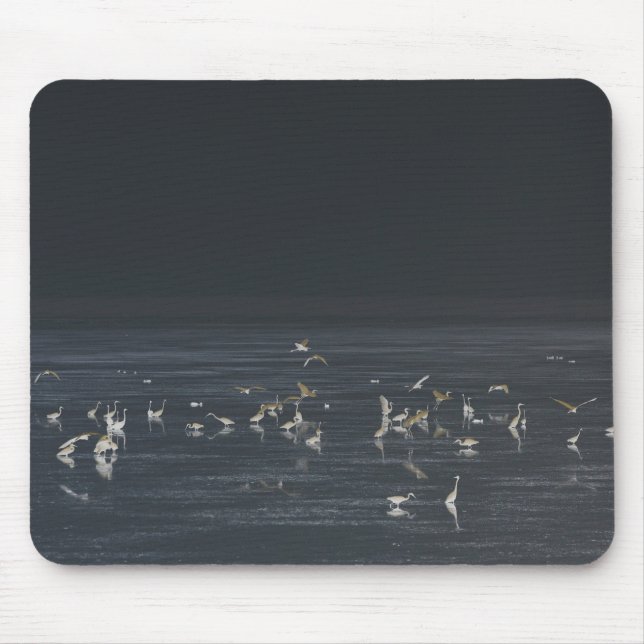 Egrets On The Midnight Blue Ocean Mouse Mat (Front)