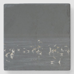 Egrets On The Midnight Blue Ocean Stone Coaster