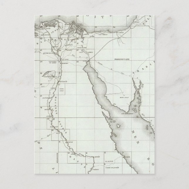 Egyopt and Palestine Postcard (Front)