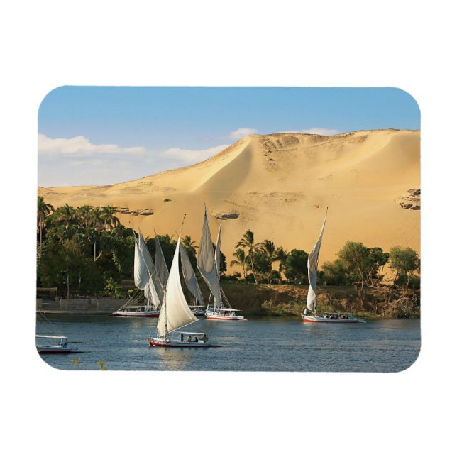Egypt, Aswan, Nile River, Felucca sailboats, 2 Magnet (Horizontal)