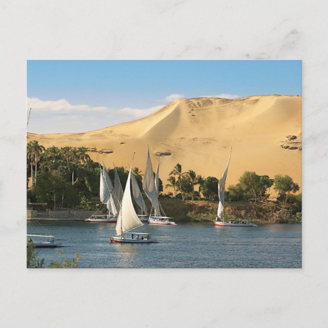 Egypt, Aswan, Nile River, Felucca sailboats, 2 Postcard (Front)