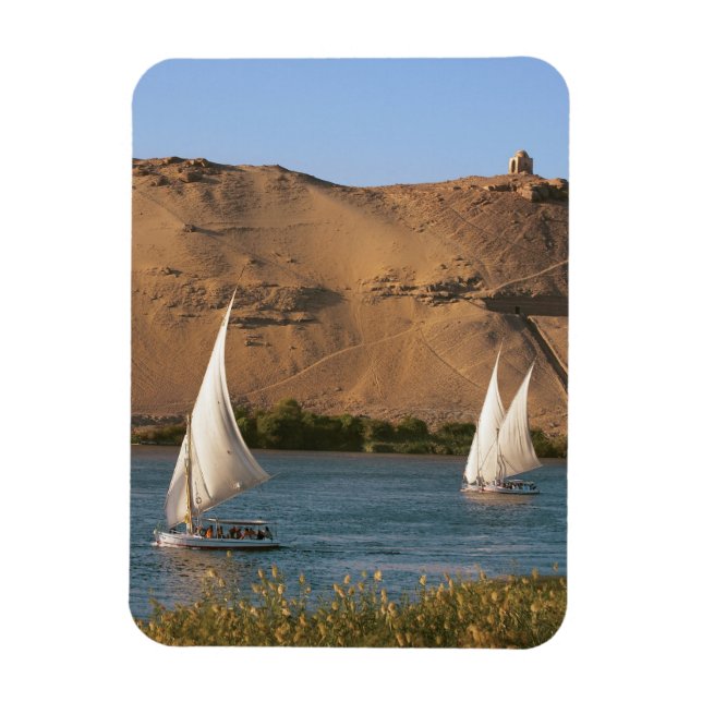 Egypt, Aswan, Nile River, Felucca sailboats, Magnet (Vertical)