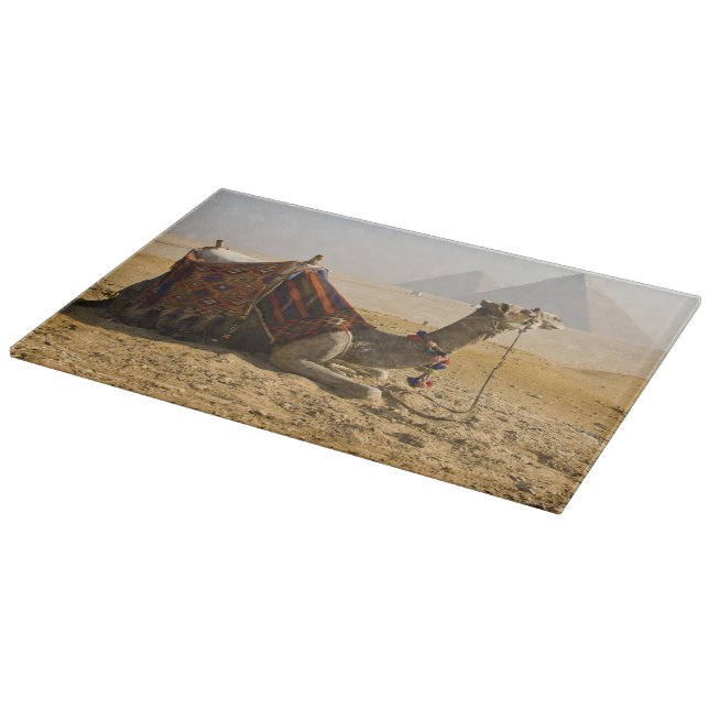 Egypt, Cairo. A lone camel Cutting Board (Corner)