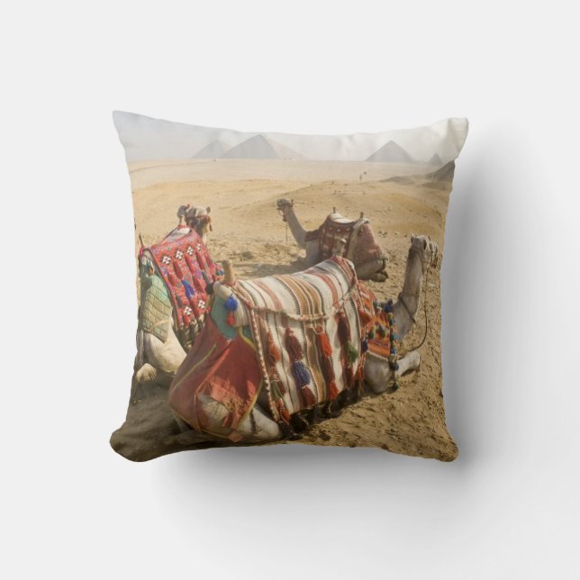 Egypt, Cairo. Resting camels Cushion (Front)