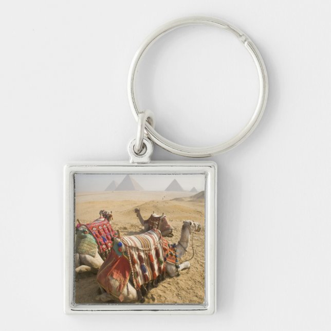 Egypt, Cairo. Resting camels Key Ring (Front)