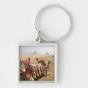 Egypt, Cairo. Resting camels Key Ring