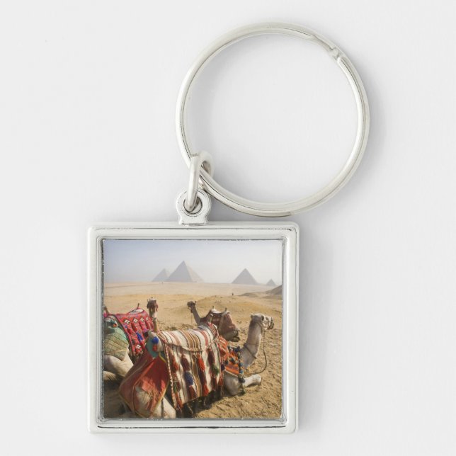 Egypt, Cairo. Resting camels Key Ring (Front)