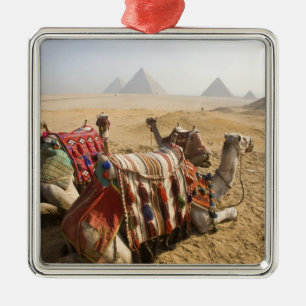 Egypt, Cairo. Resting camels Metal Tree Decoration