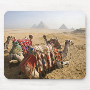 Egypt, Cairo. Resting camels Mouse Mat