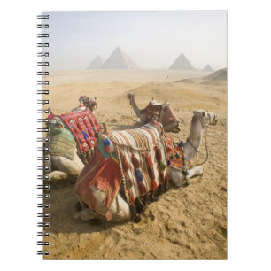 Egypt, Cairo. Resting camels Notebook