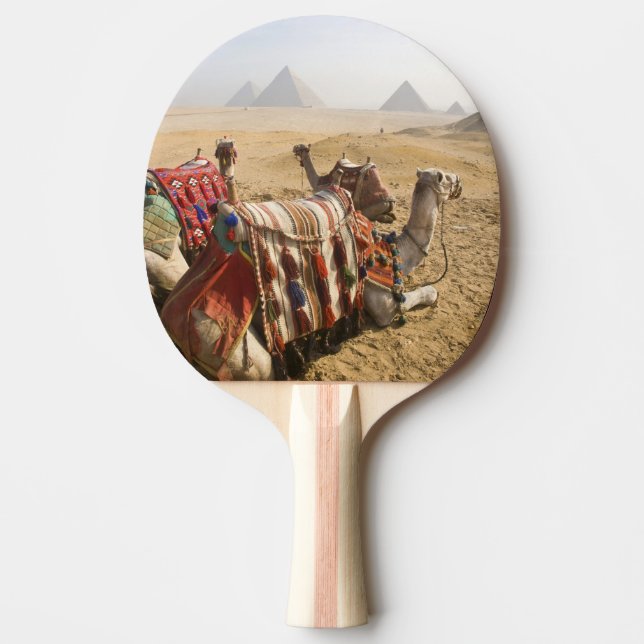 Egypt, Cairo. Resting camels Ping Pong Paddle (Front)