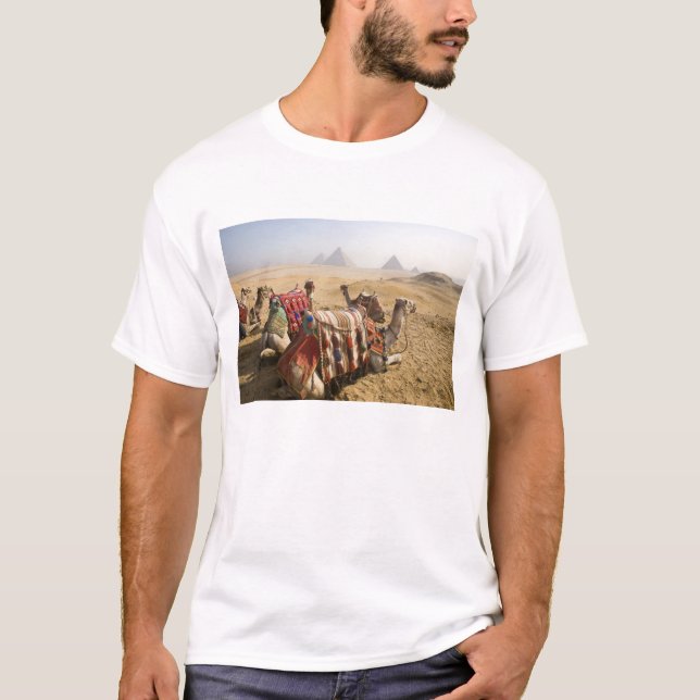 Egypt, Cairo. Resting camels T-Shirt (Front)