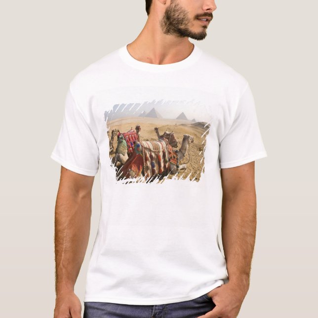 Egypt, Cairo. Resting camels T-Shirt (Front)
