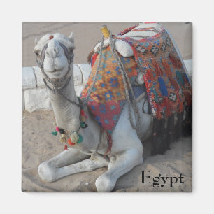 Egypt Camel Magnet