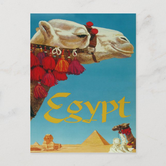 Egypt, camel on desert with pyramids and sphinx postcard (Front)