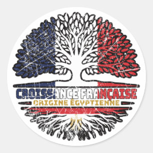 Egypt Egyptian French France Tree Roots Flag Classic Round Sticker