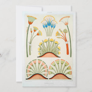 Egypt Flower Lotus Illustration Invitation