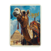 Egypt Giza Pyramids Vintage Travel