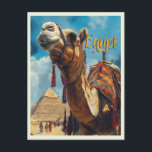 Egypt Giza Pyramids Vintage Travel  Postcard<br><div class="desc">A vibrant,  retro-style vector postcard featuring an ancient Egyptian camel adorned with colourful tassels,  set against the iconic Giza Pyramids. Perfect for travel advertising,  vintage design,  and Egyptian-themed projects.</div>