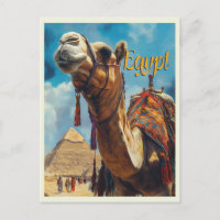 Egypt Giza Pyramids Vintage Travel