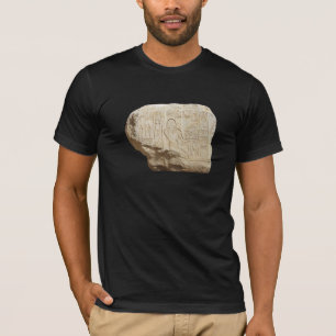Egypt hieroglyph shirt - choose style & colour