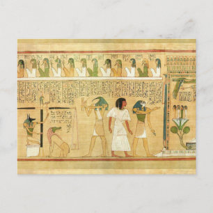 Egypt-Hieroglyphs Postcard