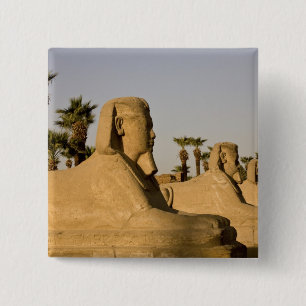 Egypt, Luxor. The Avenue of Sphinxes leads to 15 Cm Square Badge