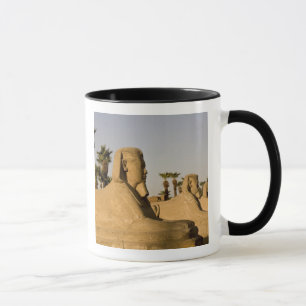 Egypt, Luxor. The Avenue of Sphinxes leads to Mug