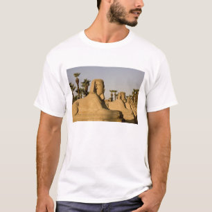 Egypt, Luxor. The Avenue of Sphinxes leads to T-Shirt