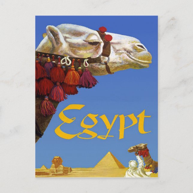 Egypt Postcard (Front)