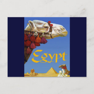 Egypt Postcard