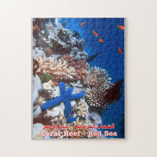 Egypt - Red Sea - Barrier Reef - Jigsaw Puzzle