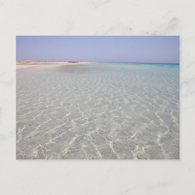 Egypt, Red Sea, Marsa Alam, Sharm El Luli, Beach 2 Postcard (Front)