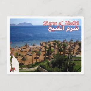 Egypt - Red Sea - Sharm el Sheikh - Postcard