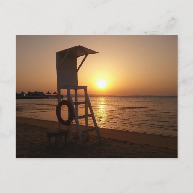Egypt Sunset Postcard (Front)